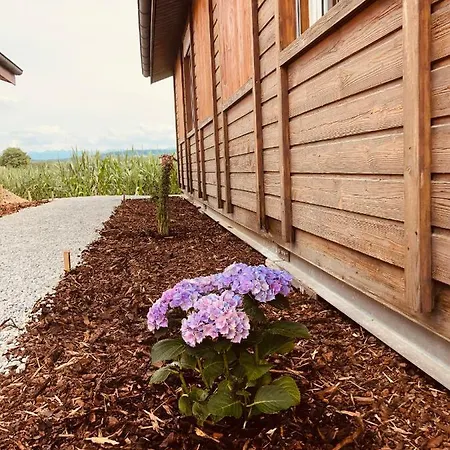 Casa de Férias Les Moucherons Avenches