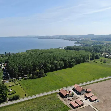 Les Moucherons * אבאנשס