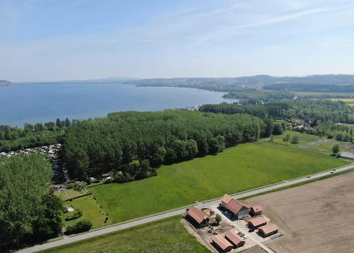 Les Moucherons * אבאנשס