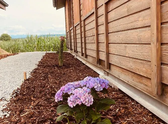 Hébergement de vacances Les Moucherons Avenches